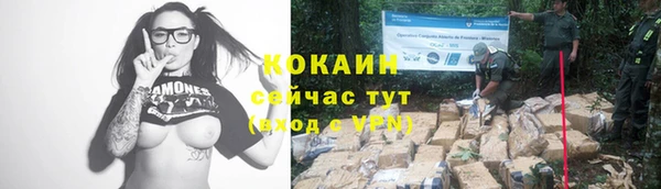 прущий лед Вяземский