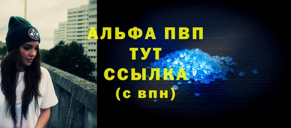 прущий лед Вяземский