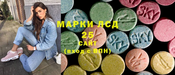прущий лед Вяземский