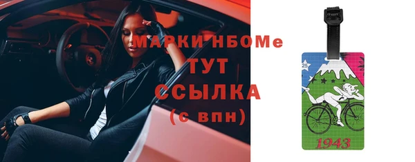 прущий лед Вяземский