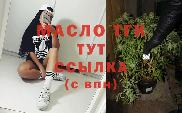 прущий лед Вяземский