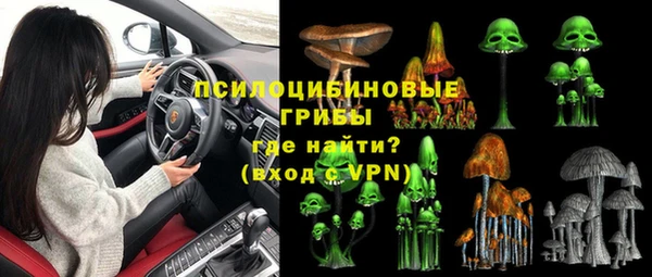 прущий лед Вяземский