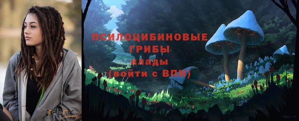 прущий лед Вяземский